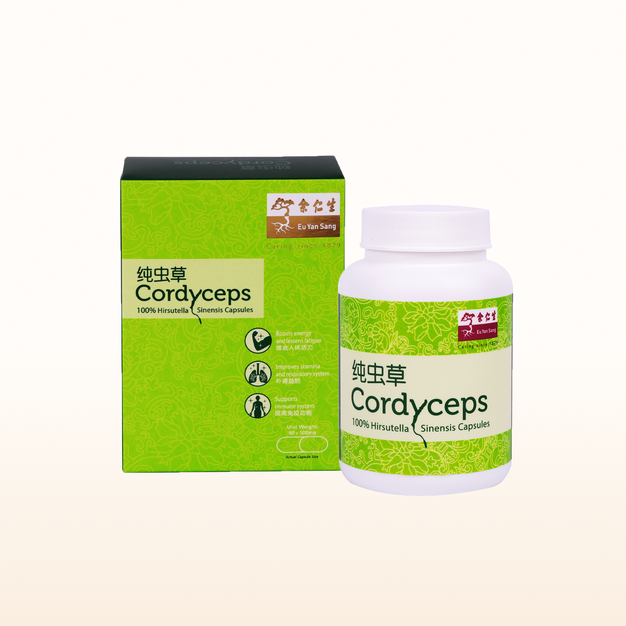 Cordyceps Capsules